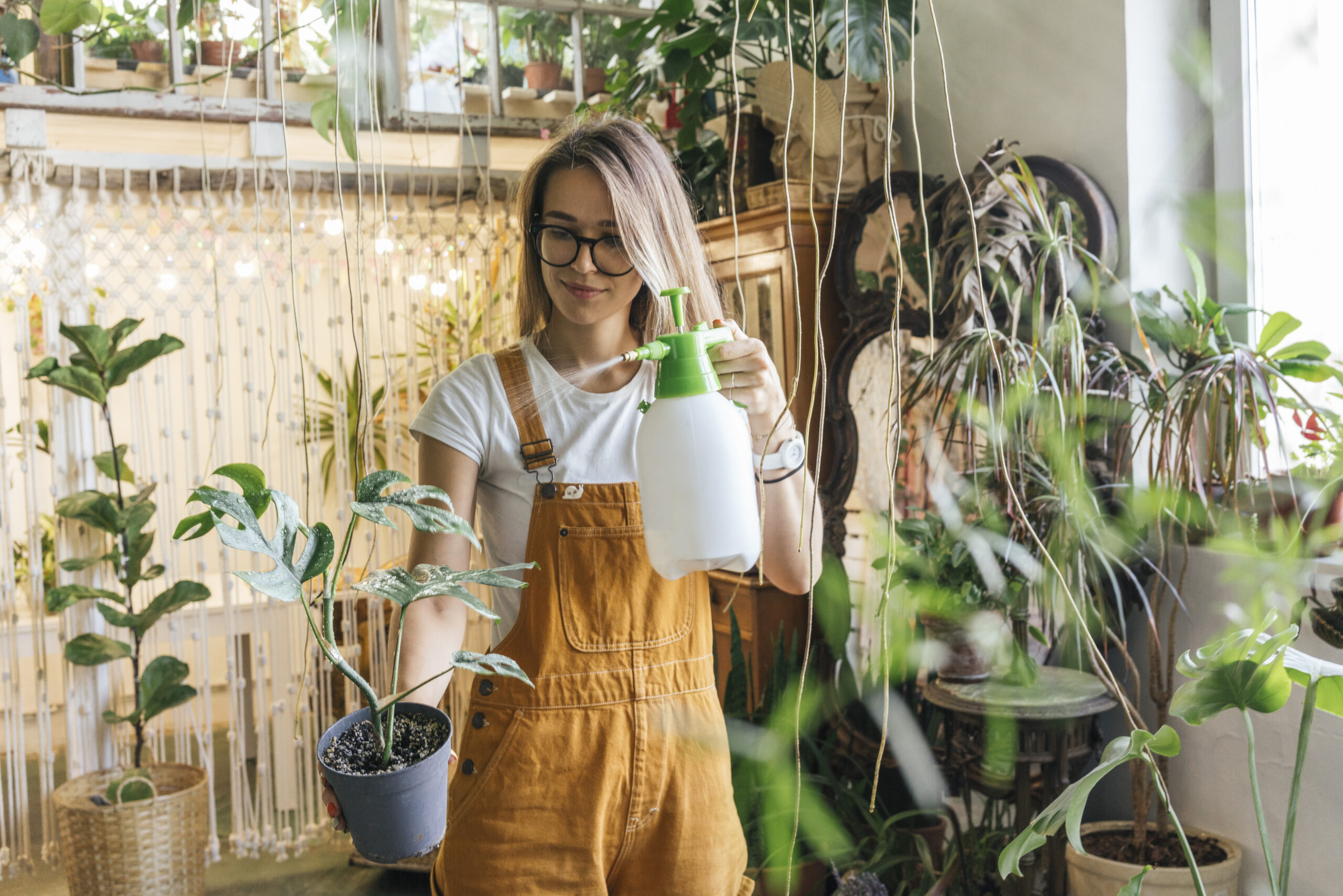 Picking indoor plants for your home.